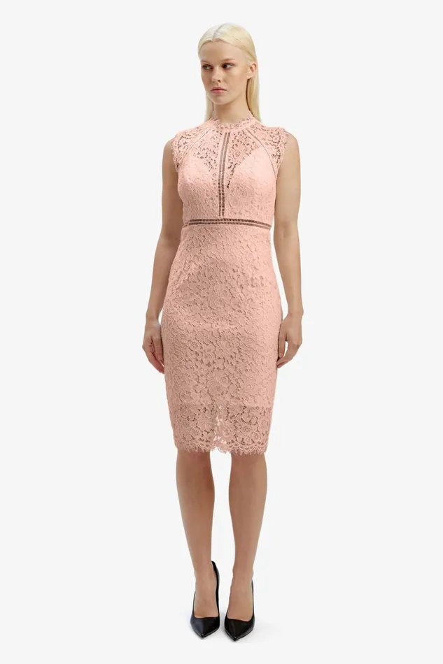 Bardot Occasion Dresses Lace Panel Blush In Pale Blush 8211 Women