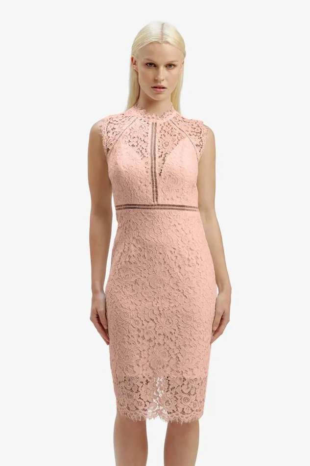 Bardot Occasion Dresses Lace Panel Blush In Pale Blush 8211 Women Bardot Occasion Dresses Lace Panel Blush In Pale Blush 8211 Women