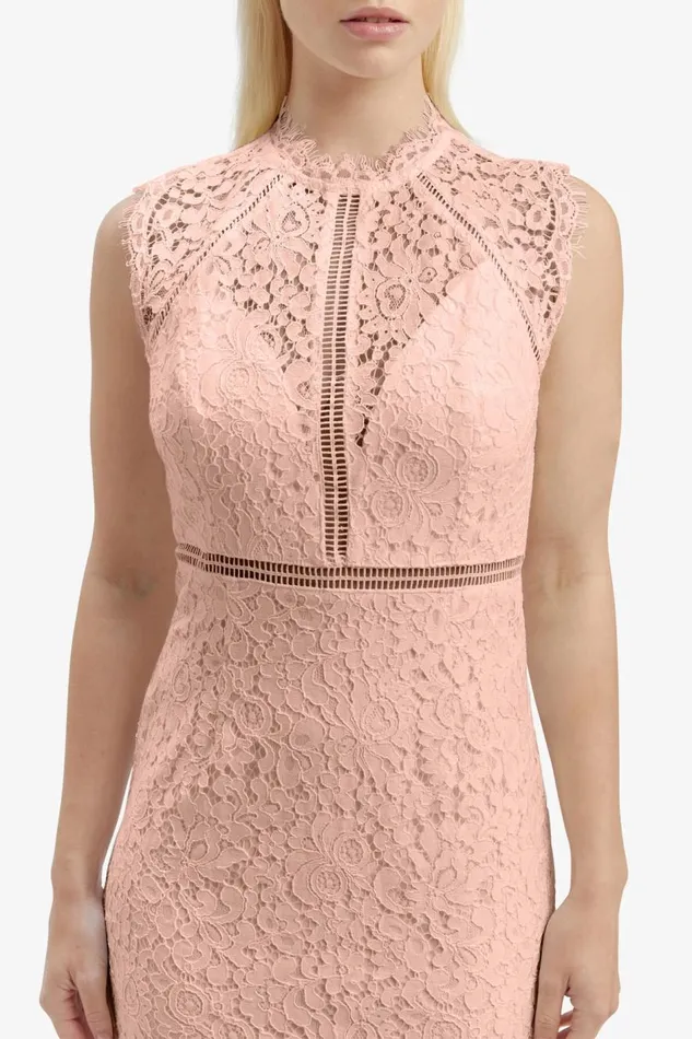Bardot Occasion Dresses Lace Panel Blush In Pale Blush 8211 Women Bardot Occasion Dresses Lace Panel Blush In Pale Blush 8211 Women