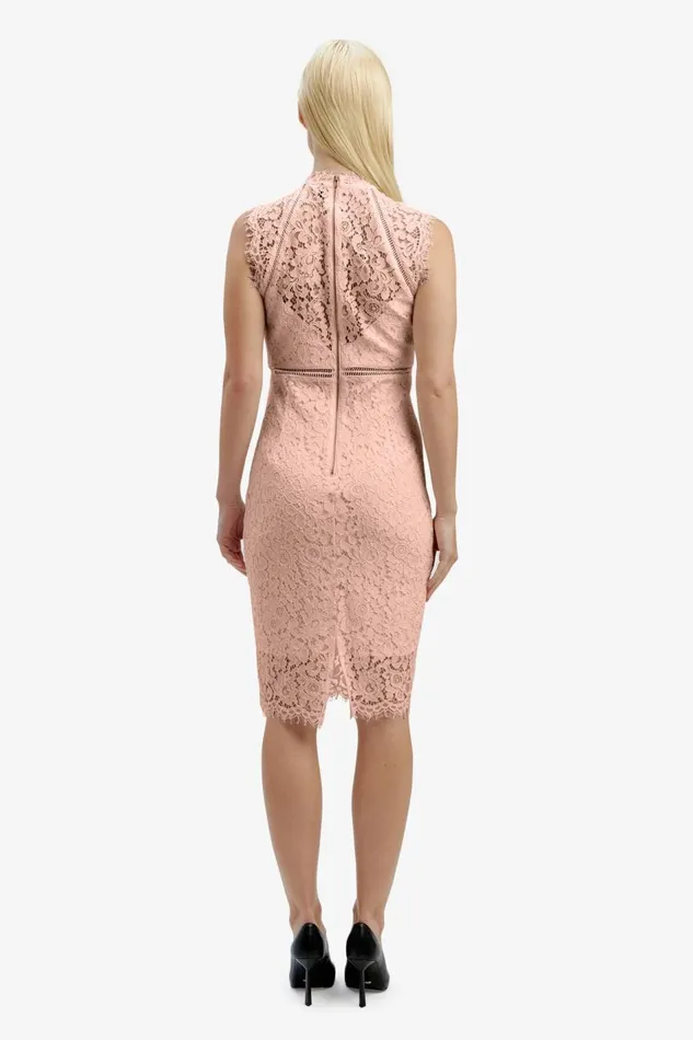 Bardot Occasion Dresses Lace Panel Blush In Pale Blush 8211 Women Bardot Occasion Dresses Lace Panel Blush In Pale Blush 8211 Women