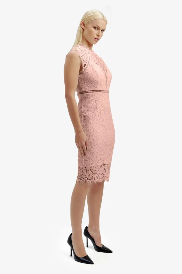 Bardot Occasion Dresses Lace Panel Blush In Pale Blush 8211 Women Bardot Occasion Dresses Lace Panel Blush In Pale Blush 8211 Women