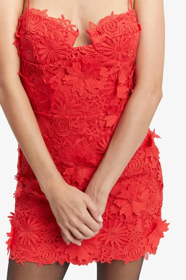 Bardot Party Dresses Brias Lace Mini Dress In Fire Red 8211 Women Bardot Party Dresses Brias Lace Mini Dress In Fire Red 8211 Women