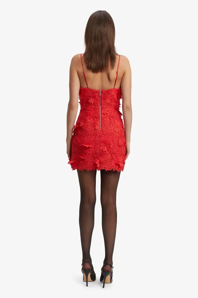 Bardot Party Dresses Brias Lace Mini Dress In Fire Red 8211 Women Bardot Party Dresses Brias Lace Mini Dress In Fire Red 8211 Women
