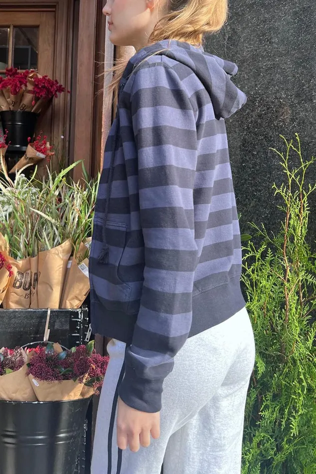 Brandy Melville Sweatpants and Sweatshirts Christy Striped Hoodie Dusty Navy Purple Stripes 8211 Women