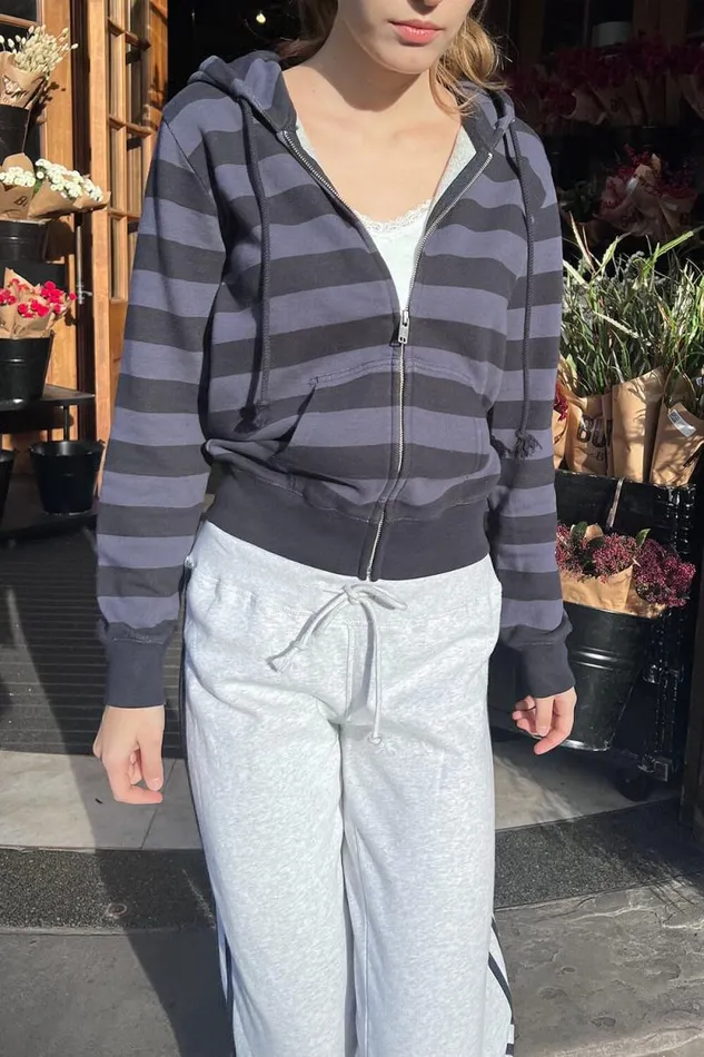 Brandy Melville Sweatpants and Sweatshirts Christy Striped Hoodie Dusty Navy Purple Stripes 8211 Women
