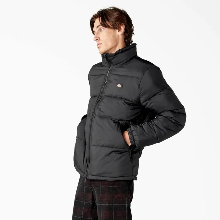 Dickies Coats and Jackets Waldenburg Puffer Jacket Black Black bkx 8211 Men Dickies Coats and Jackets Waldenburg Puffer Jacket Black Black bkx 8211 Men