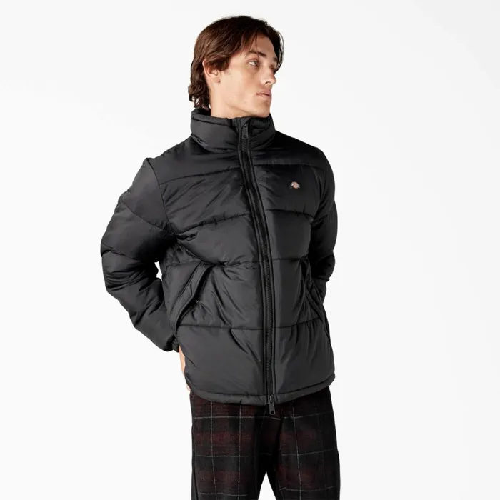 Dickies Coats and Jackets Waldenburg Puffer Jacket Black Black bkx 8211 Men Dickies Coats and Jackets Waldenburg Puffer Jacket Black Black bkx 8211 Men