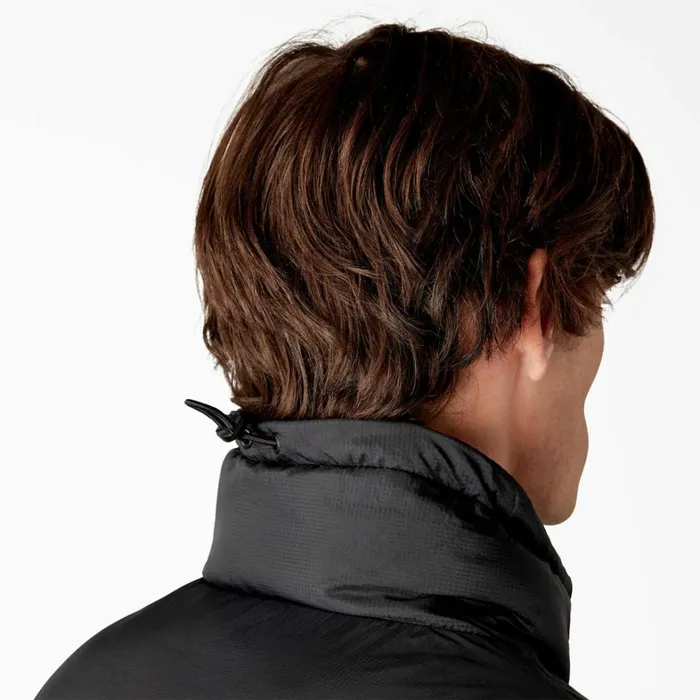 Dickies Coats and Jackets Waldenburg Puffer Jacket Black Black bkx 8211 Men Dickies Coats and Jackets Waldenburg Puffer Jacket Black Black bkx 8211 Men