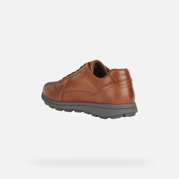 Geox Casual Shoes SPHERICA EC12 Men039s Cognac Leather Sneakers Geox Cognac 8211 Man