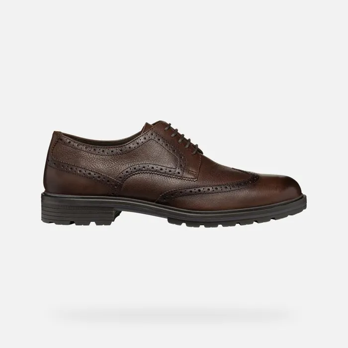 Geox Formal Shoes WALK PLEASURE C MAN Coffee Leather Shoes Coffee 8211 Man