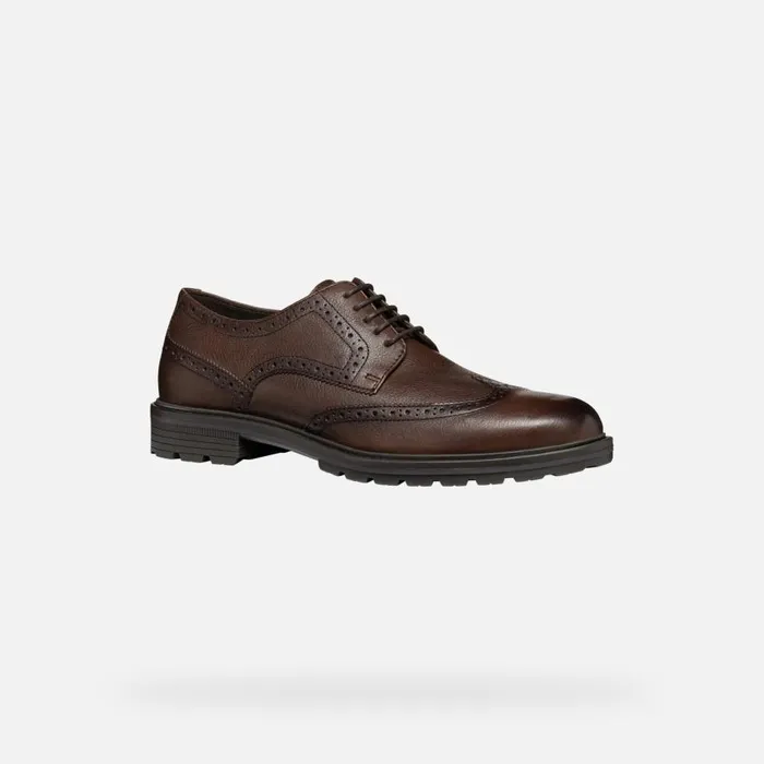 Geox Formal Shoes WALK PLEASURE C MAN Coffee Leather Shoes Coffee 8211 Man