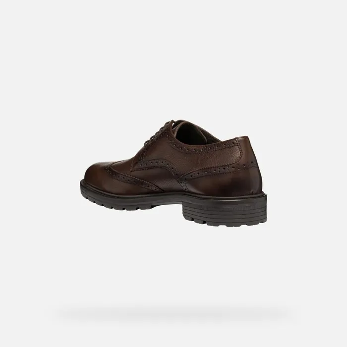 Geox Formal Shoes WALK PLEASURE C MAN Coffee Leather Shoes Coffee 8211 Man