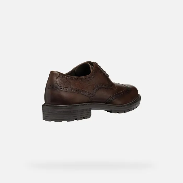 Geox Formal Shoes WALK PLEASURE C MAN Coffee Leather Shoes Coffee 8211 Man