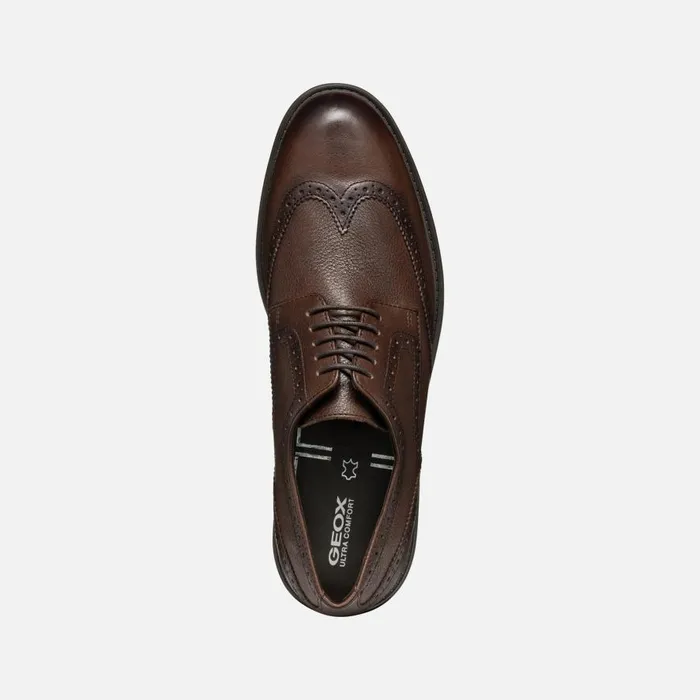 Geox Formal Shoes WALK PLEASURE C MAN Coffee Leather Shoes Coffee 8211 Man