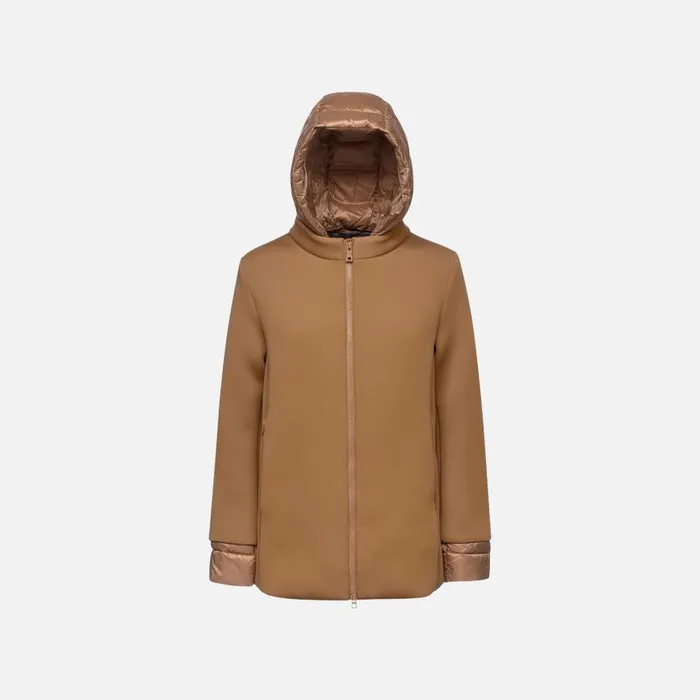 Geox Jackets CRISTAEL WOMAN Tiger039s Eye Jacket With Hood Tiger039s Eye 8211 Woman Geox Jackets CRISTAEL WOMAN Tiger039s Eye Jacket With Hood Tiger039s Eye 8211 Woman