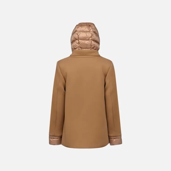 Geox Jackets CRISTAEL WOMAN Tiger039s Eye Jacket With Hood Tiger039s Eye 8211 Woman