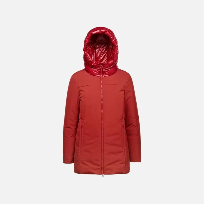 Geox Jackets SPHERICA WOMAN Dark RedDark Red Reversible Jacket Dark Reddark Red 8211 Woman Geox Jackets SPHERICA WOMAN Dark RedDark Red Reversible Jacket Dark Reddark Red 8211 Woman