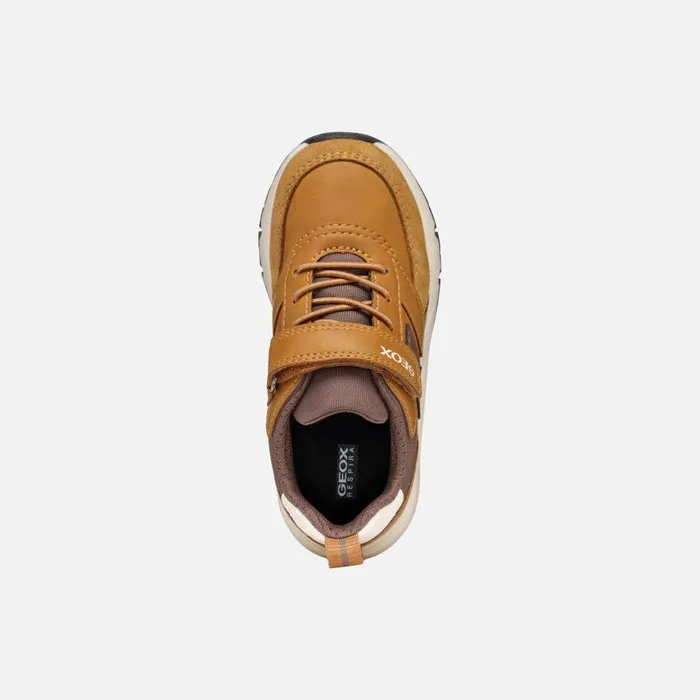 Geox Sneakers ROONER BOY Dark YellowCoffee Low Top Sneakers Dark Yellowcoffee 8211 Kids