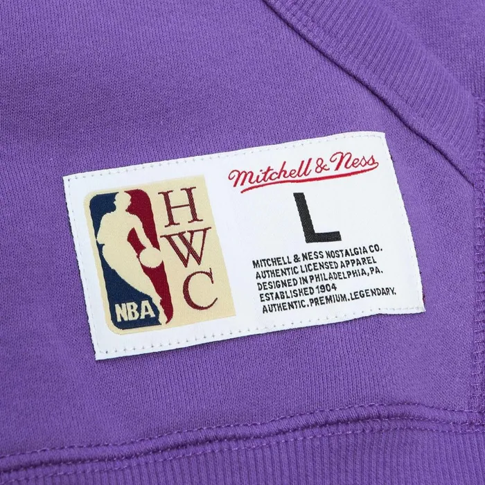Men039s Hoodies and Sweatshirts Mitchell and Ness City Collection Fleece Hoody Toronto Raptors Men039s Hoodies and Sweatshirts Mitchell and Ness City Collection Fleece Hoody Toronto Raptors