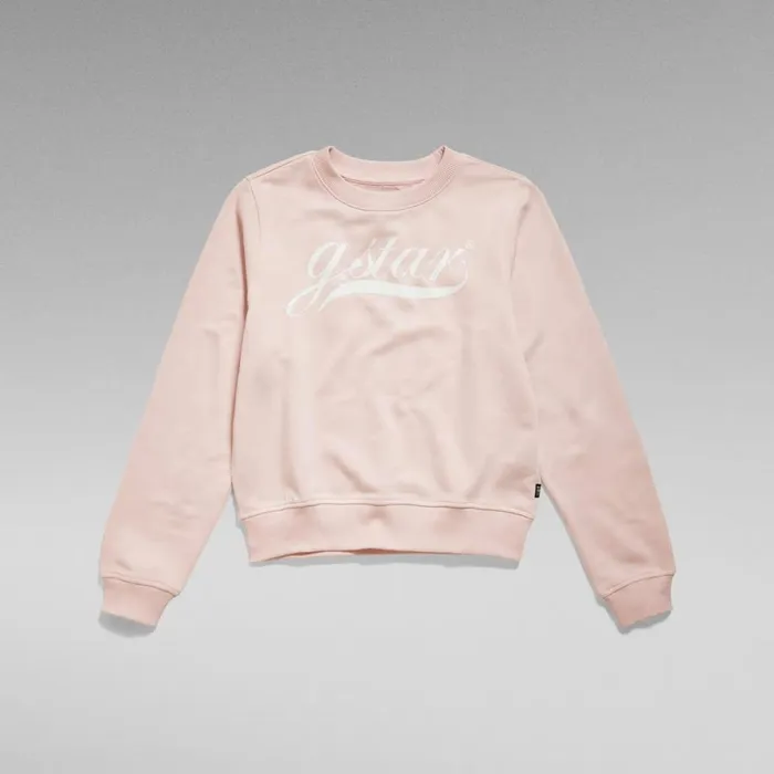 Sweatshirts and Hoodies Women GStar RAW Graphic 1 Sweater Pyg