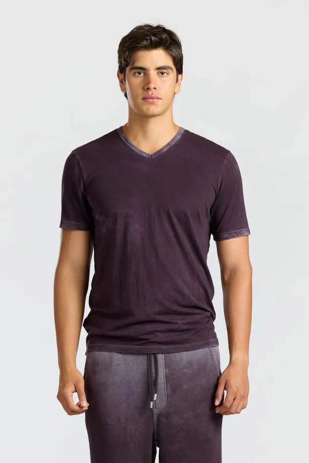 Tees Men COTTON CITIZEN Classic VNeck Tee Vintage Eggplant