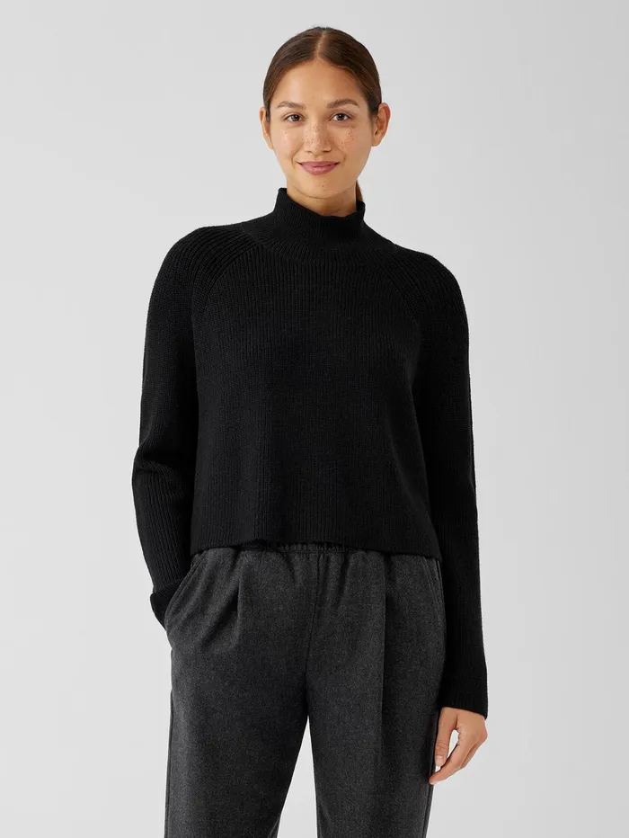 Women Eileen Fisher Sweaters and Cardigans Merino Cropped Turtleneck Top In RegenerativeWool Black Women Eileen Fisher Sweaters and Cardigans Merino Cropped Turtleneck Top In RegenerativeWool Black