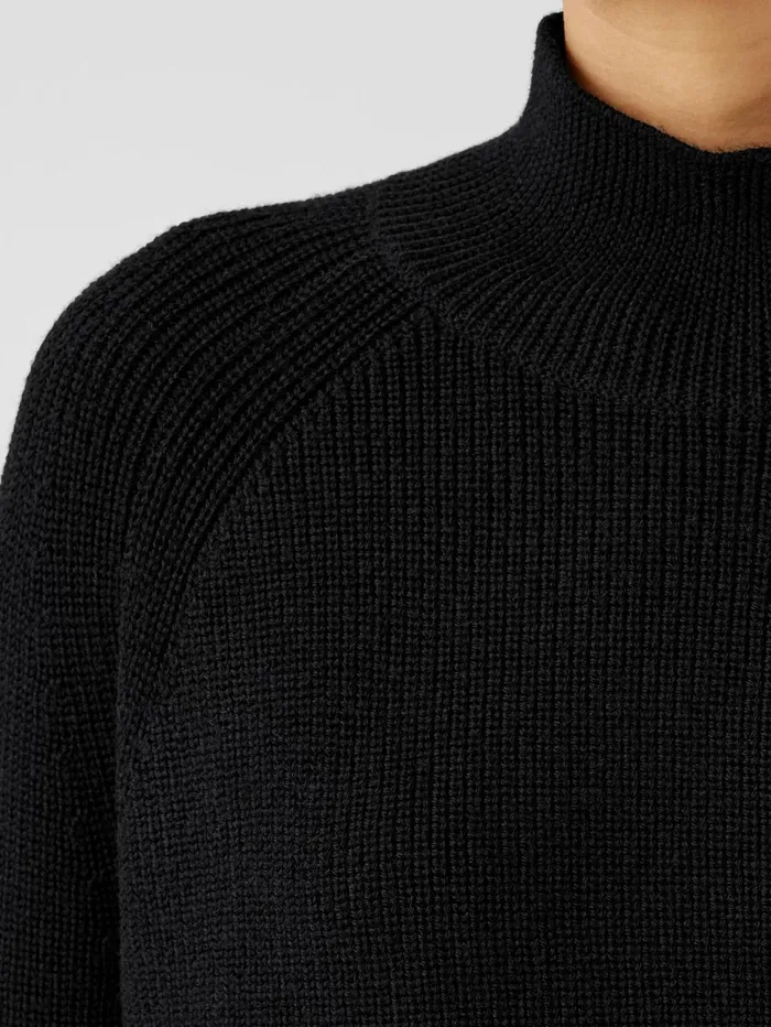 Women Eileen Fisher Sweaters and Cardigans Merino Cropped Turtleneck Top In RegenerativeWool Black