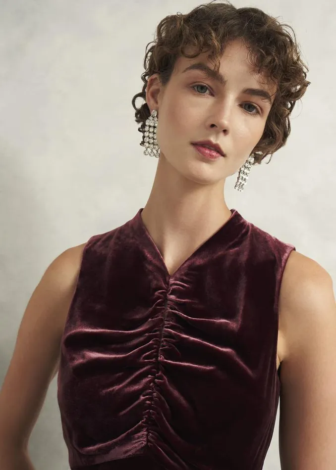Women HOBBS Dresses and Jumpsuits Isleworth Velvet Dress Cocoa Brown