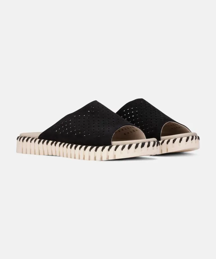 Women Sandals Ilse Jacobsen Sandals 8211 Black