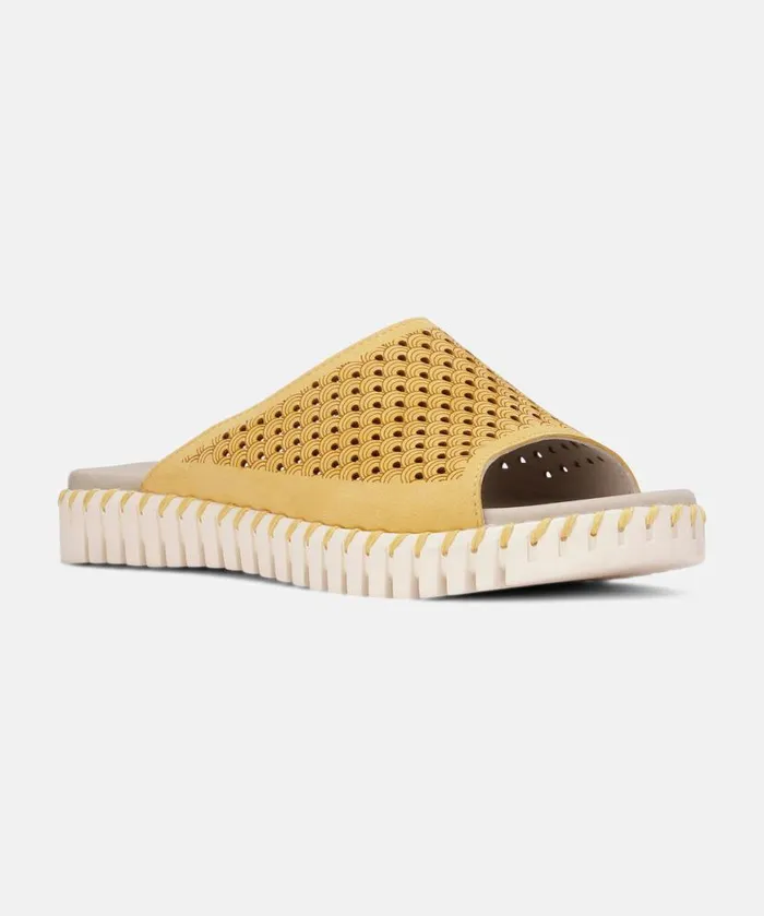 Women Sandals Ilse Jacobsen Sandals 8211 Golden Rod Women Sandals Ilse Jacobsen Sandals 8211 Golden Rod
