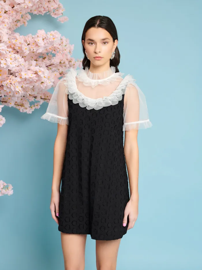 Women Sister Jane Dresses Mara Jacquard Mini Dress Coal Black