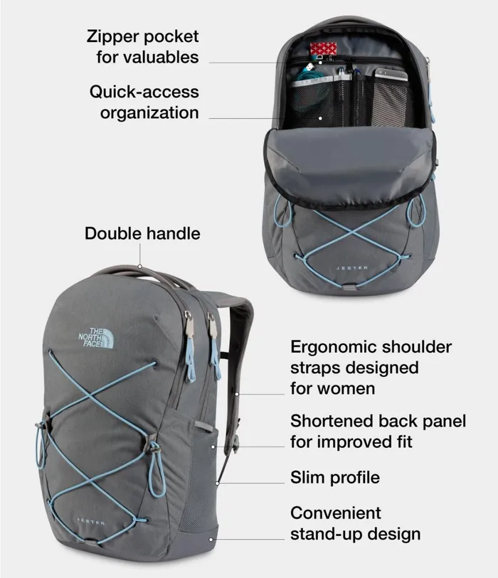 Womens Jester Marron Purplepink Clay The North Face Backpacks